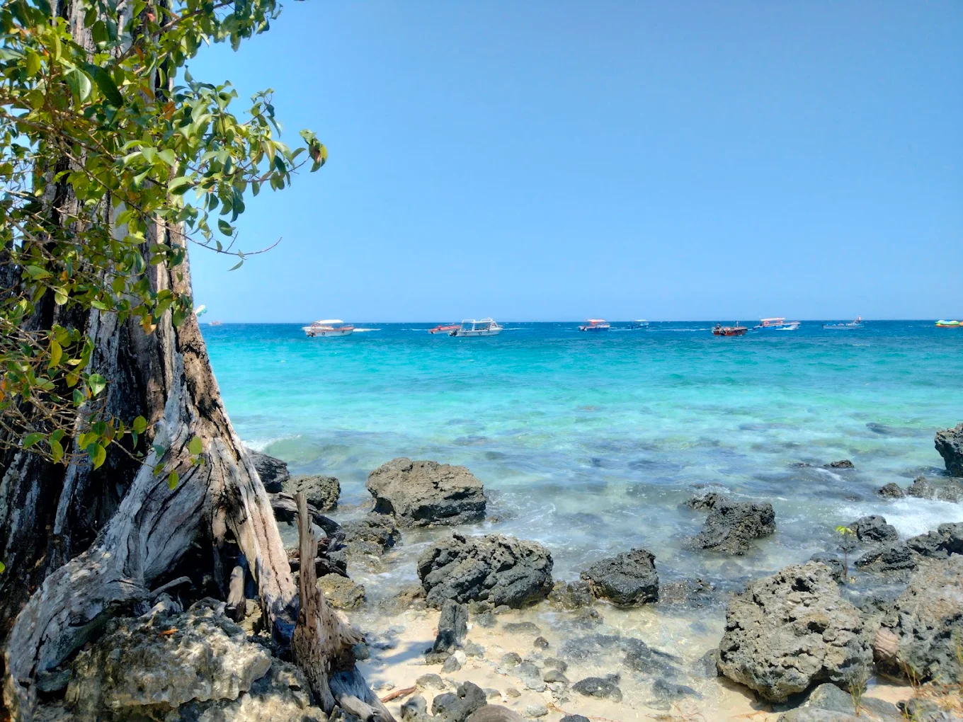 Elephant Beach